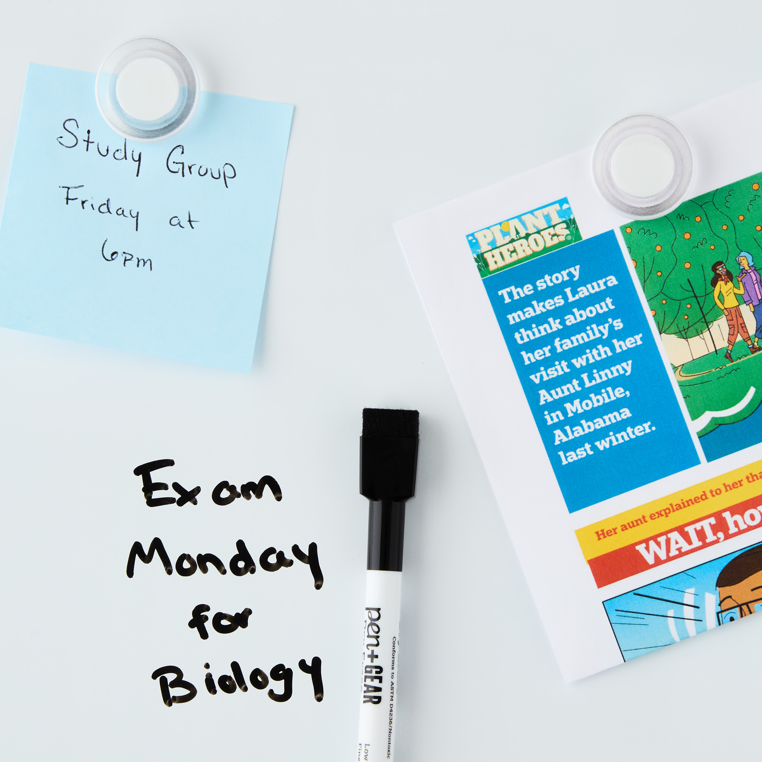 Pen+Gear 23x35 Magnetic Dry Erase Whiteboard photo 6