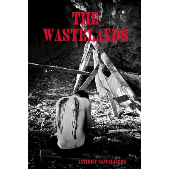 The Wastelands, (Paperback)
