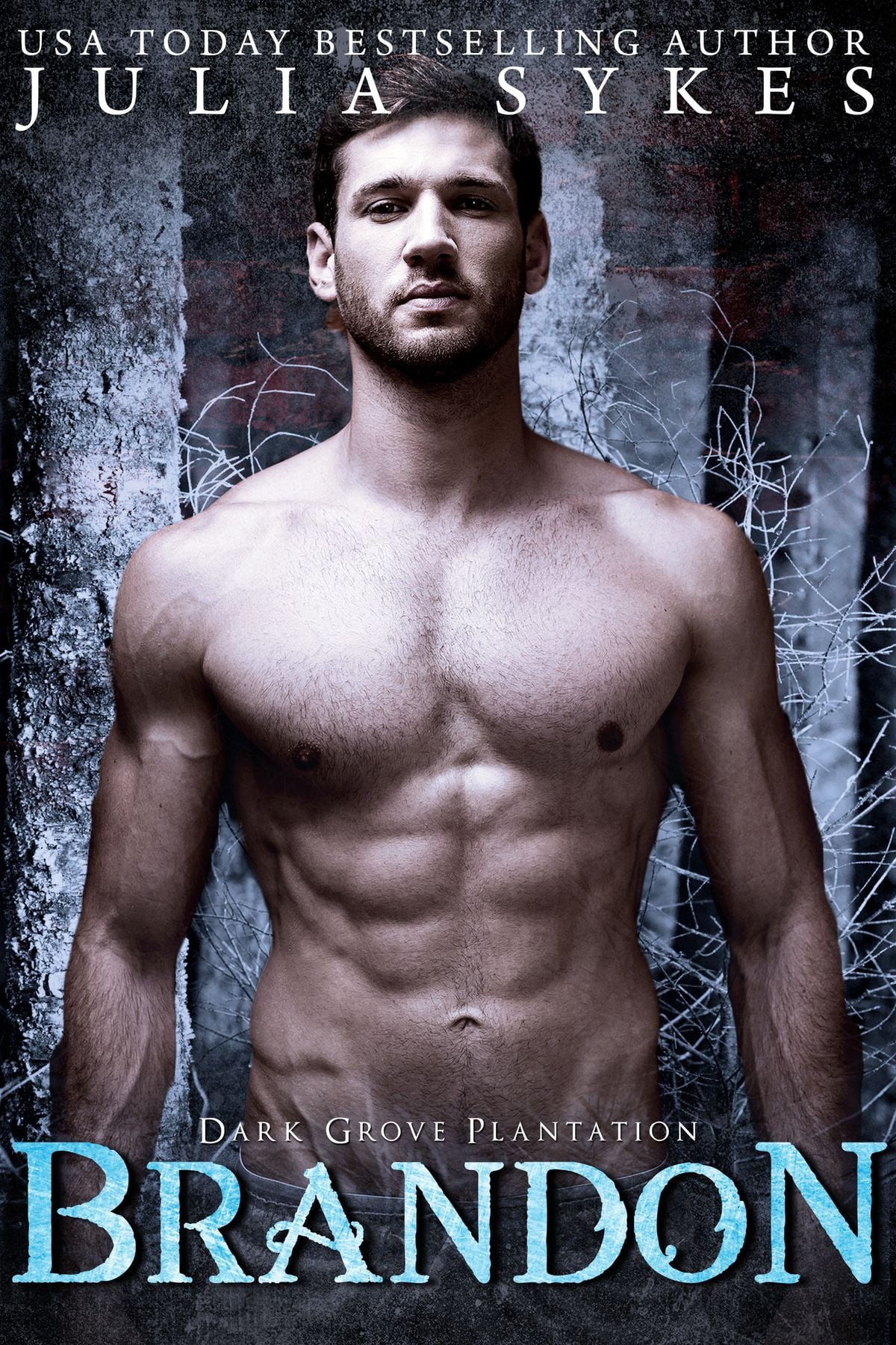 Brandon eBook