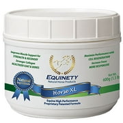 (C)Equinety Horse XL (12)