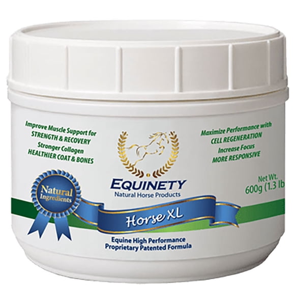 (C)Equinety Horse XL (30)