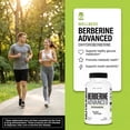thumbnail image 4 of NutraBio Berberine Advanced Supplement (Dihydroberberine) Advanced Absorption Carbohydrate Tolerance Support, 200 mg, 60 Capsules, 4 of 9