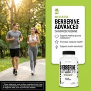 NutraBio Berberine Advanced Supplement (Dihydroberberine) Advanced Absorption Carbohydrate Tolerance Support, 200 mg, 60 Capsules