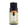 thumbnail image 1 of Essence Via Aroma 10ml Aromaterapia para Aromatizador Difusor Eléctrico Classic Original Deng Xun unisex, 1 of 2