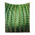 thumbnail image 1 of Cactus Soft Flannel Fleece Throw Blanket, Photo of Cactus with Spikes Plant Flower Fruit from Close Zoom Shoot with Spikes Print, Cozy Plush for Indoor and Outdoor Use, 60" x 80", Green, by Ambesonne, 1 of 6