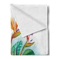 thumbnail image 2 of Orchids Soft Flannel Fleece Throw Blanket, Cattleya Exotic Flower Strelitzia Blossom Fan Palm Royal Fern Epic Gardening Art, Cozy Plush for Indoor and Outdoor Use, 50" x 70", Multicolor, by Ambesonne, 2 of 5