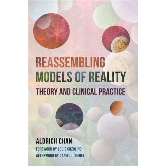 Norton Interpersonal Neurobiology: Reassembling Models of Reality: Theory and Clinical Practice (Hardcover)