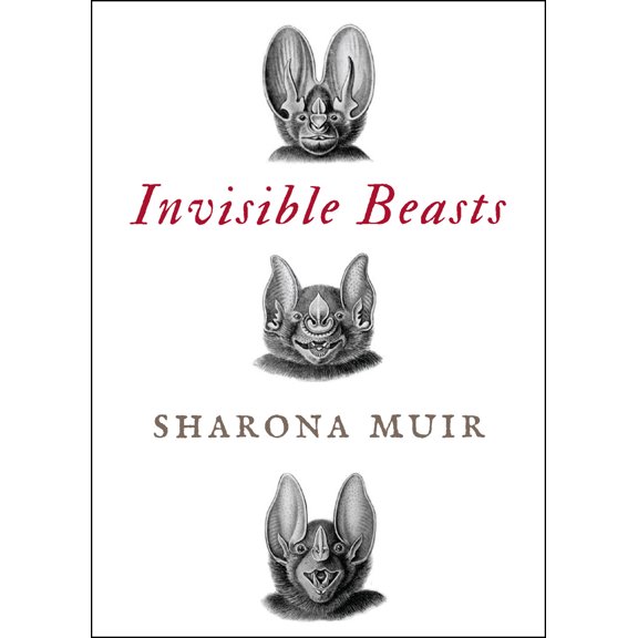 Pre-Owned Invisible Beasts: Tales of the Animals That Go Unseen Among Us (Paperback) 1934137804 9781934137802