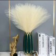 thumbnail image 3 of ievspot 1 Set Artificial Dry Reed Feather Reed Fluffy False Bristle Brush for Floor Vase Bohemian Farmhouse Home Decoration, 3 of 8
