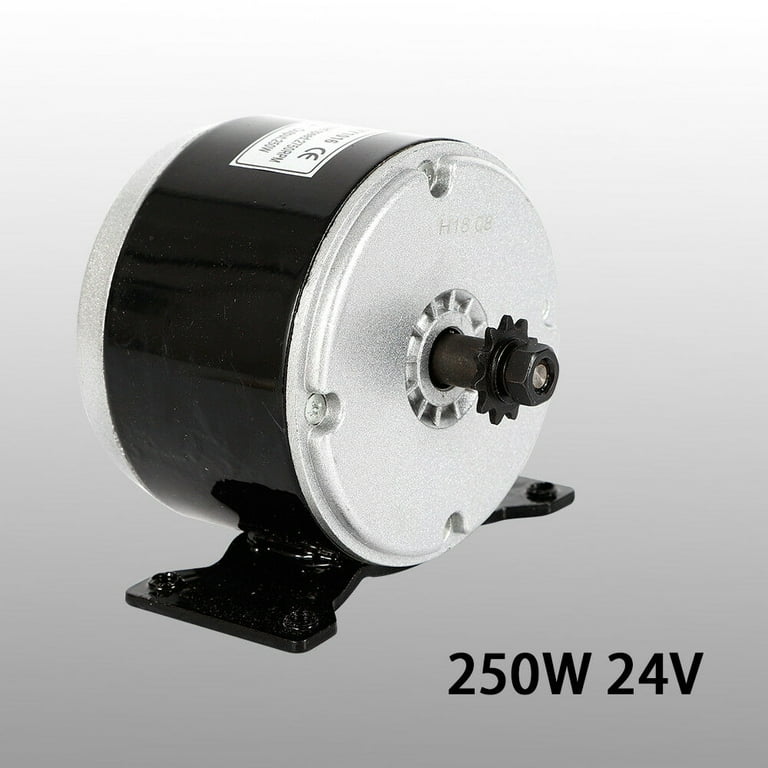 Electric 2024 motor 250w