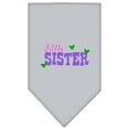 thumbnail image 6 of Pet and Dog Bandana Screen Printed, "Little Sister", 6 of 10