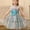 Blue, variant on Toddler Girls Tulle Birthday Dress Princess Pageant Ball Gown Formal Wedding Party Dresses with Bowknot for 1-8 Years