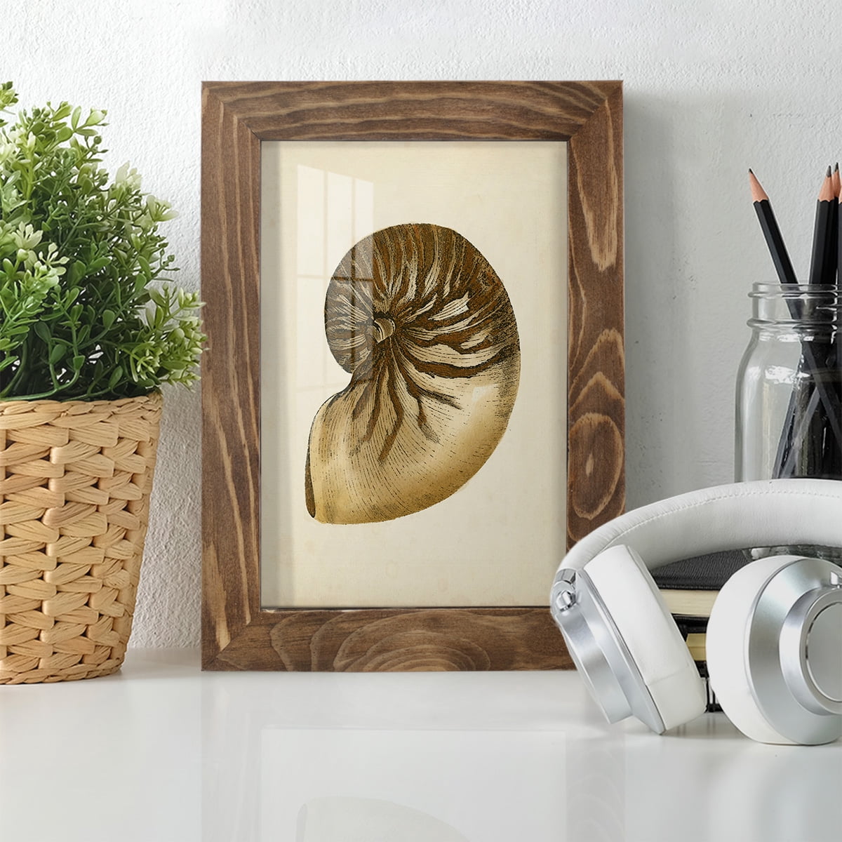 Sealife Collection V - Framed Print w/glass - Walnut