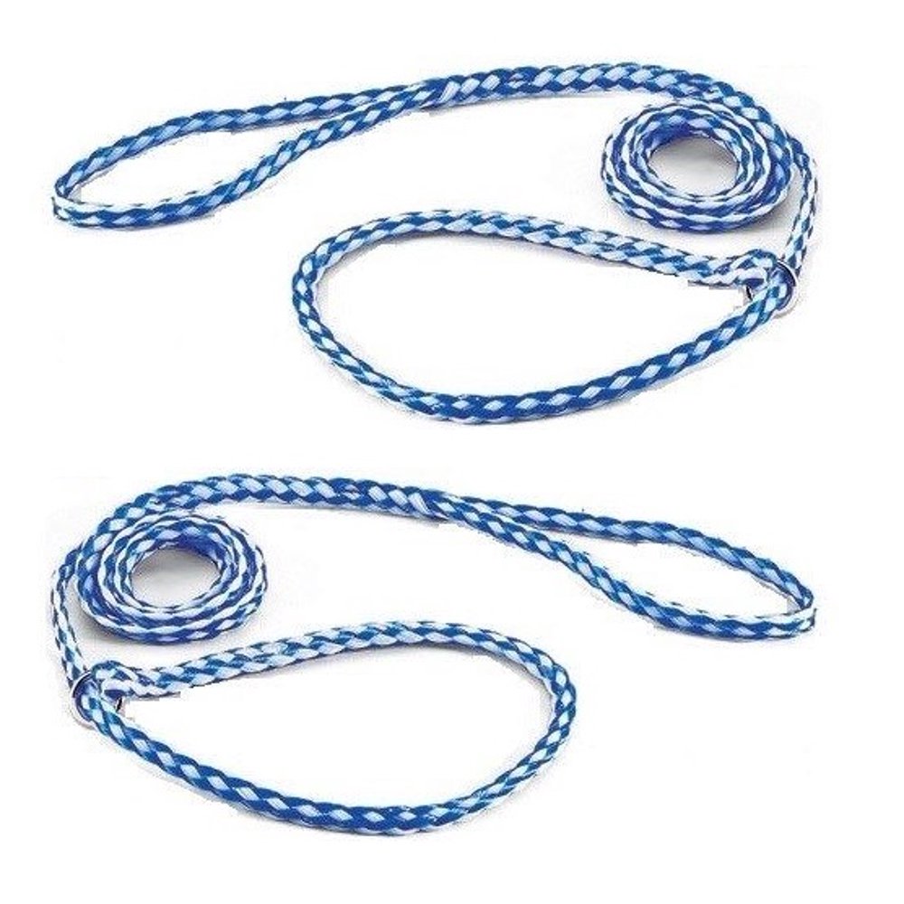 Kennel Dog Lead Bulk Packs for Dogs Heavy Poly Control Slip Style Rescue Shelter (12 Leads Kennel Dog Lead Bulk Packs for Dogs Heavy Poly Control Slip Style Rescue Shelter (12 Leads