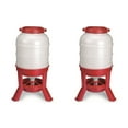 thumbnail image 1 of Little Giant Nourrisseur de Gravité pour Volaille de 60 Livres (2 Pack), 1 of 7