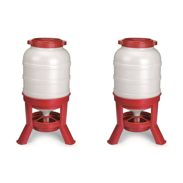Little Giant Nourrisseur de Gravité pour Volaille de 60 Livres (2 Pack)