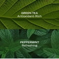 thumbnail image 4 of mint + green tea hydra-purifying treatment mist, 4 of 8