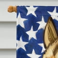 thumbnail image 3 of Carolines Treasures CK6509CHF East Siberian Laika Dog American Canvas House Size outdoor-flags, Multicolor, 3 of 4
