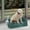 Green, variant on EHJRE Litter Tray for Small Dogs Indoor Dog Potty Tray Anti Splashing Potty Trainer White