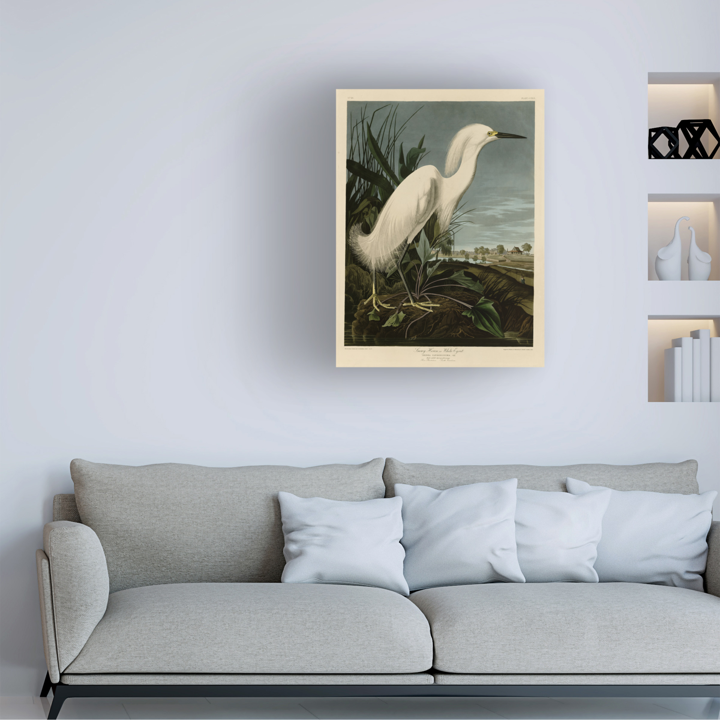 John James Audubon 'Snowy Heron' Canvas Art
