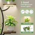 thumbnail image 3 of BECOKOME 7 Tiered Metal Plant Stands for Indoors Outdoor with 2 LED Grow Light & 1 Hook, 47" Corner Display Tree-Shaped Indoor Plant Shelf Rack for Living Room, Black, 3 of 5