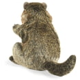 thumbnail image 2 of Groundhog (Other), 2 of 5