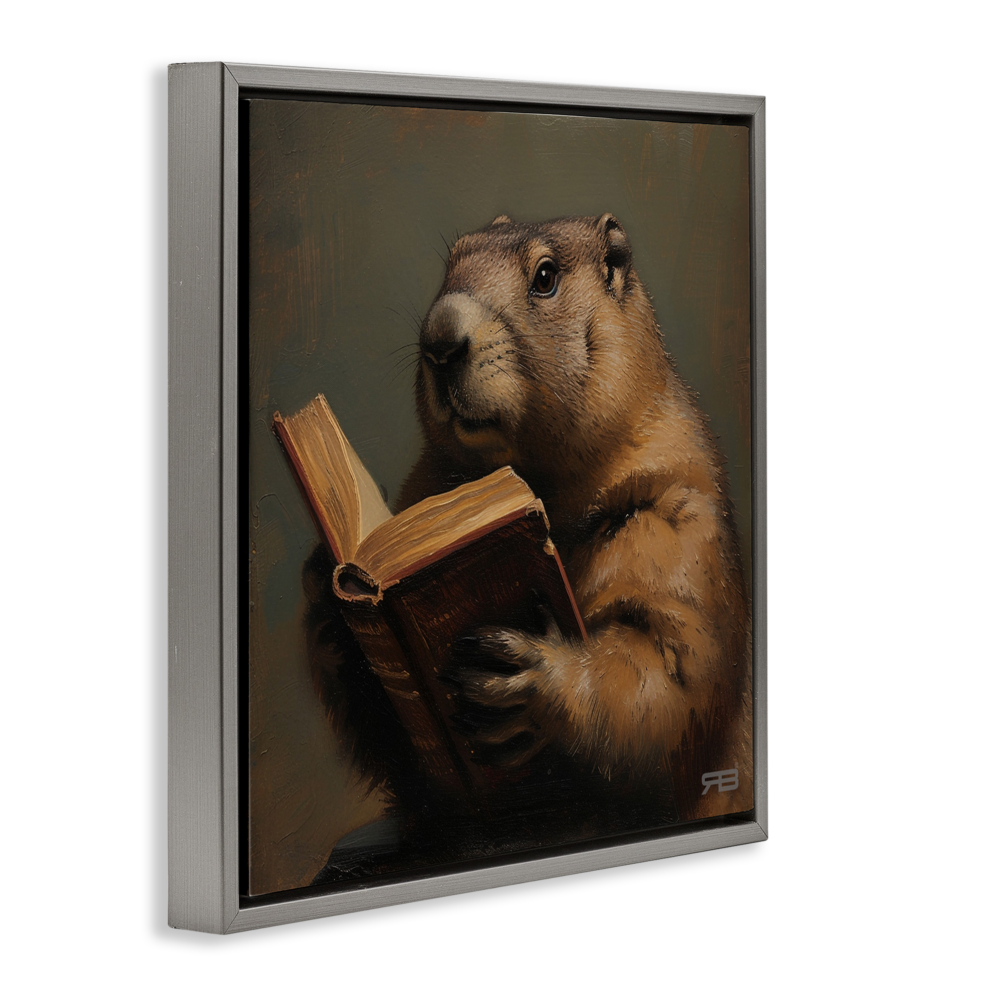 Stupell Industries Groundhog Reading Book Animals & Insects Painting Gray Floater Framed Canvas Art Print Wall Art, 25 x 25