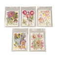 thumbnail image 2 of Pressed Flowers, 100 Pcs Resin Flowers for Resin Mold, Assorted Styles Pressed Flowers Dried Flower Kit for Scrapbooking Supplies Card Making Supplies, 2 of 7