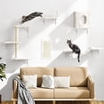 thumbnail image 3 of 5 Cat Wall Shelves Set  Wall-mounted Climber With House Bridge Hammock Space-saving Play Furniture White, 3 of 6