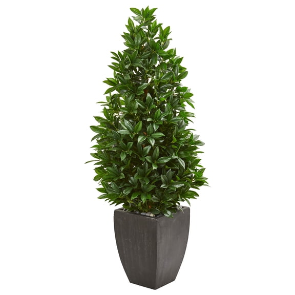 Nearly Natural 56" Bay Leaf Cone Topiary Tree UV Resistant in Black Planter