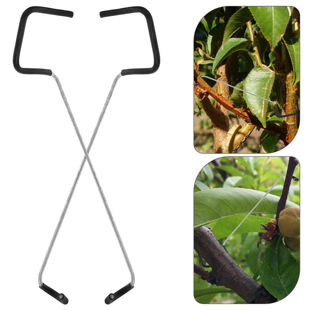 WEUVEB Fruit Tree Branch Spreaders 10Pcs Silver Galvanized Steel Wire Rubber for Gardening Promotes Light Exposure