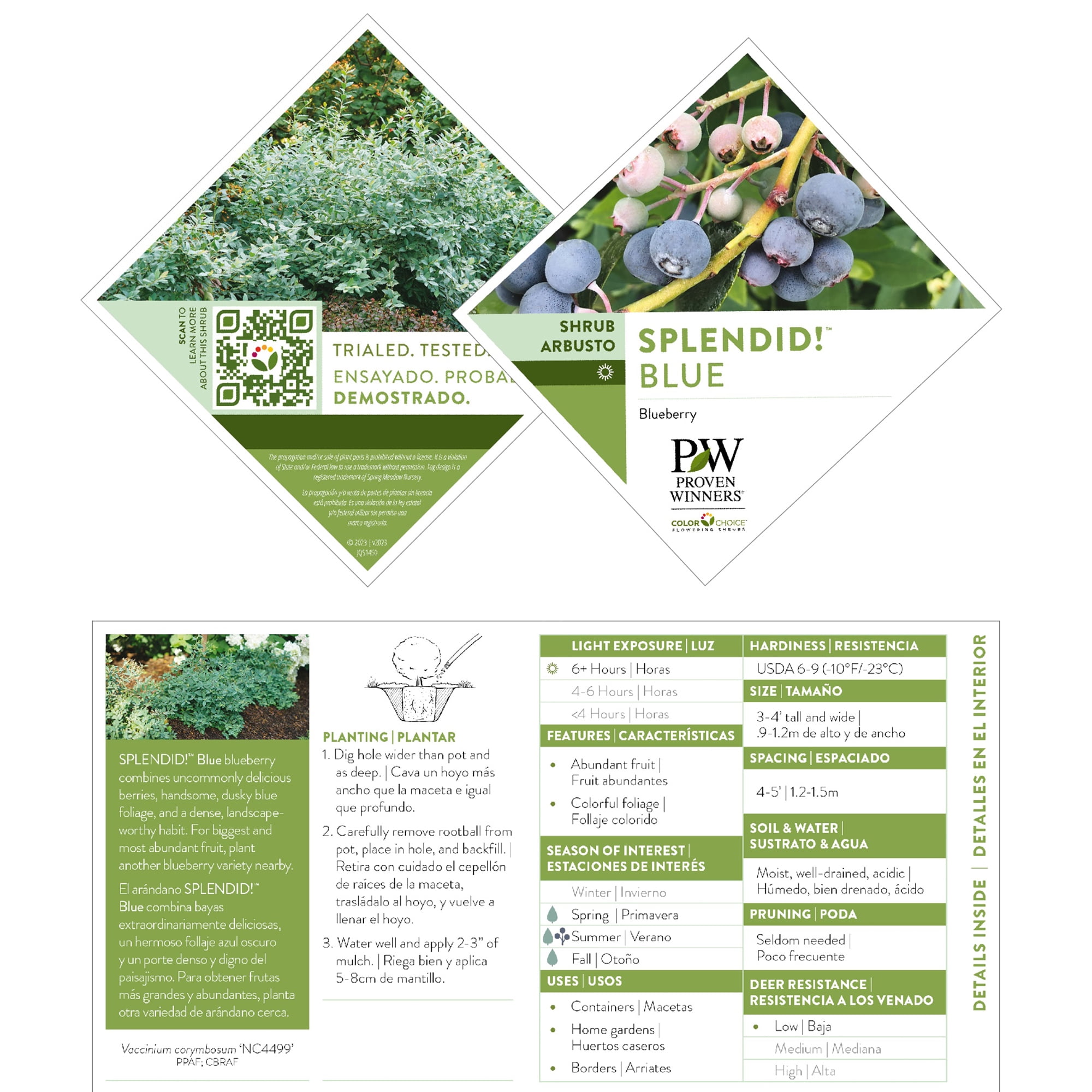 Proven Winners ColorChoice Splendid! Blue Blueberry Live Shrub (2 Gallon)