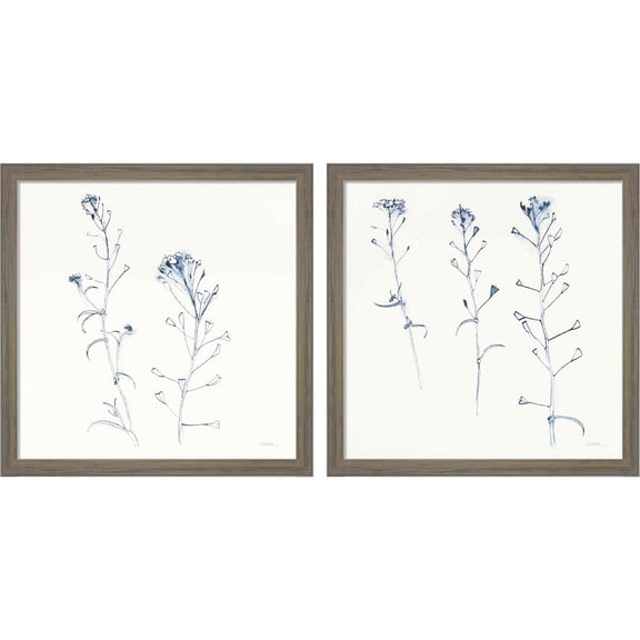 Great Art Now Shepherds Purse Stems Blue by Shirley Novak, 2 Piece Framed Art Set Each 13"W x 13"H