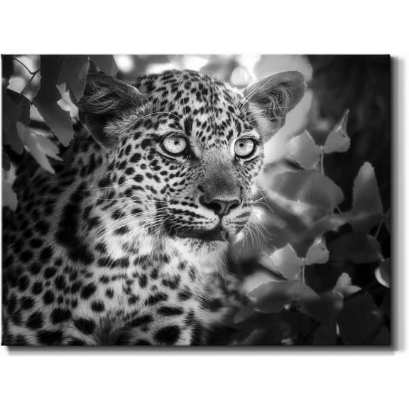 Aaheei Canvas Animal Wall Art Home Paintings & Prints Vintage African Leopard Modern Black & White Safari Wall Hanging Artwork Decor for Bedroom Office Kitchen