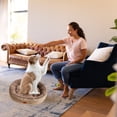 thumbnail image 1 of WIZUTIZ Winter Warm Cats Kennel All Season Universal Oval Cats Mat Winter Thickened Small And Medium Sized Dog Kennel Apartment Essentials Skin-Friendly up to 50% Off, 1 of 5