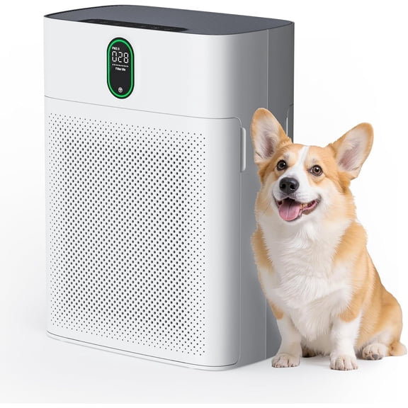 Bedroom Air Purifier for Large Rooms up to 1076 sq ft, PM2.5 Display, True HEPA, Removes Pet Hair, Dual-side Inlet, Ultra-Quiet 24dB, White, 1 Pack