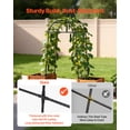thumbnail image 2 of VEVOR Cucumber Trellis, U-Shape Garden Trellises for Raised Bed, Metal Arch Plant Support for Vine, Climbing Plants Outdoor, Peas, Beans, Zucchini, Tomato, Squash, Flower (32.01 x 31.5 x 80.71 in), 2 of 9