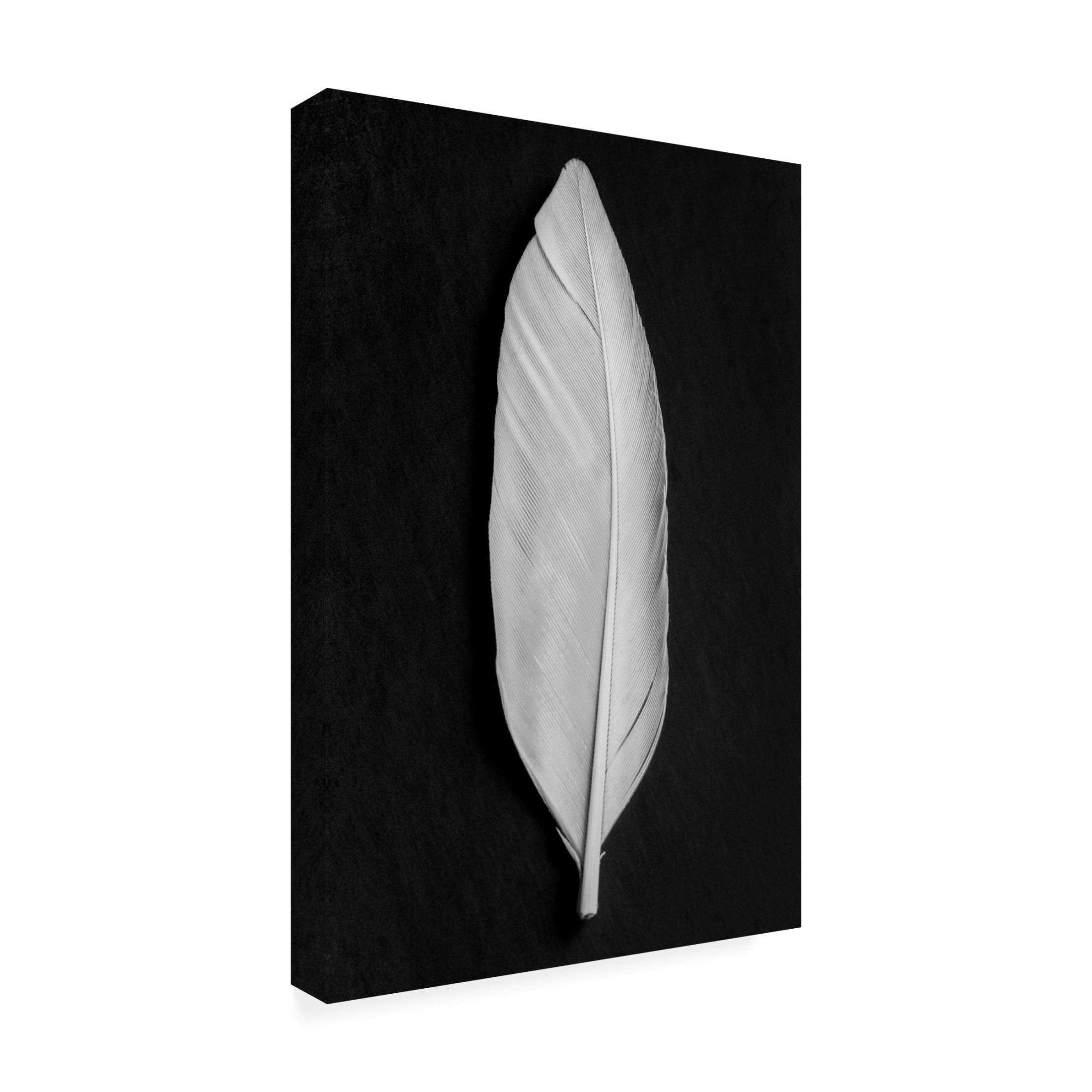 Pictufy Studio III 'Feather 8' Canvas Art - 22 x 32 Inches