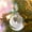 Baby, variant on XMMSWDLA Clear Christmas Memorial Ornament Feather Ball A Piece of My Heart is in Heaven Christmas Tree Memorial Hanging Pendant Gift for Mom Dad Son Daughter Sister Brother Grandma Grandpa 3.14''