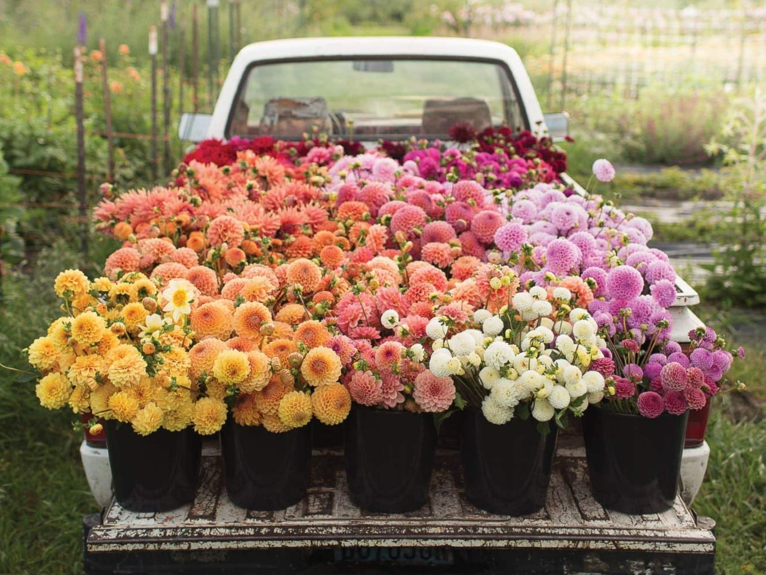 Galison - Floret Farm's Cut Flower Garden 2-Sided 500 Piece Jigsaw Puzzle