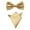 Champagne, variant on Men Satin Solid Bowtie Handkerchief Pocket Square Set