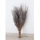 thumbnail image 1 of Ramito de Stoebe Vickerman Plata Blanca Preservada de 14-18", 1 of 1