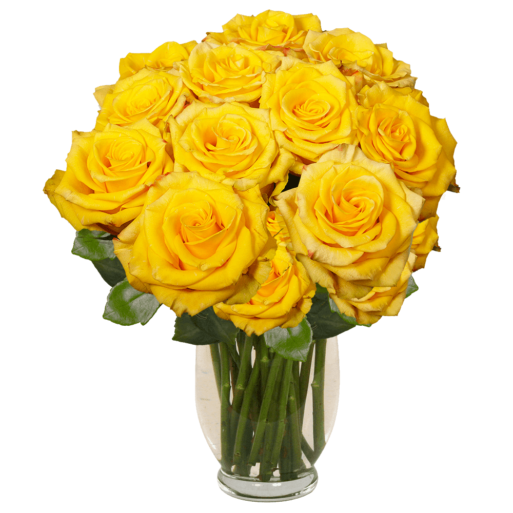 200 Stems Of Yellow With A Touch Of Red High Yellow Roses Fresh Flower Delivery Walmart Com Walmart Com