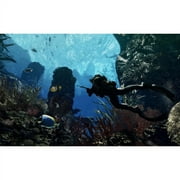 Call of Duty: Ghosts, Activision, PlayStation 4, [Physical], 047875846791