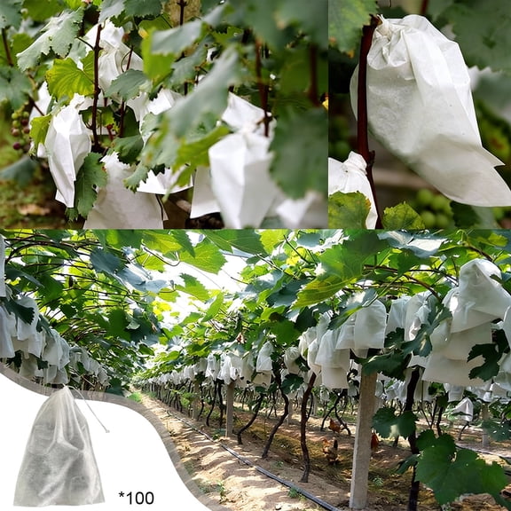 Fruit Protection Paper Bags, 100 Pcs White Protection Cover Bags 11.8 x 7.9 Inch, Grape Protection Mesh Cover Bags, Fruit Bags for Fruit Trees, Orchard, Trees, Plants