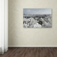 thumbnail image 2 of Trademark Fine Art "White Nature" Canvas Art by Philippe Hugonnard, 2 of 2