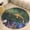 style-4, variant on Lucky Koi Fish Lotus Leaf Soft Bedroom Round Area Rug, Washable Cute Nursery Circle Throw Mat, Non-Slip Contemporary Small Low Pile Floor Carpet for Dorm Bedside
