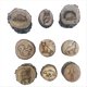thumbnail image 1 of 9 Uds. Sellos con de Animales, Molde Grabado Madera, Juguetes para Niños, Suelo Fangoso, Campo Nevado, Estampado Pasos, Jungla, 1 of 7