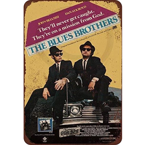 Placa de metal Vintage Wdftyju The Blues Bro decoración de pared 20x30cm