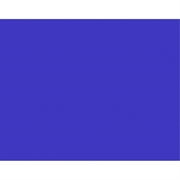 BAZIC 22" X 28" Fluorescent Blue Poster Board